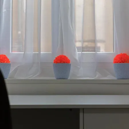 Apartment Rich